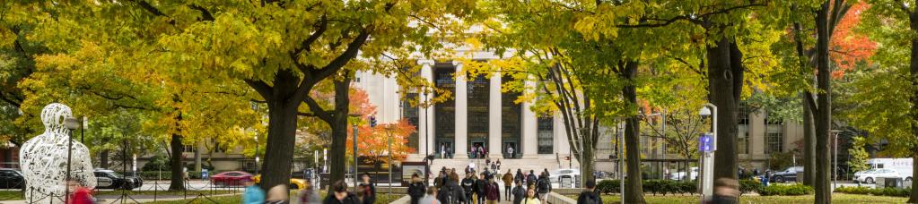 MIT campus